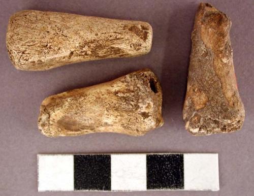 Perforated bone fragments (beads?).