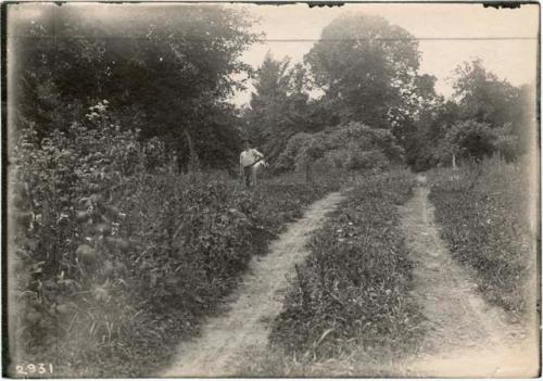 Embankment at road crossing, nearly plowed down, Fig 4