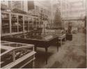 World's Columbian Exposition of 1893 - Exhibits in Anthropology building