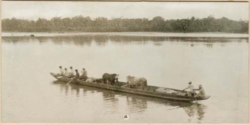 Dugout canoe