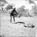 Tsamgao pulling a carton on wheels
