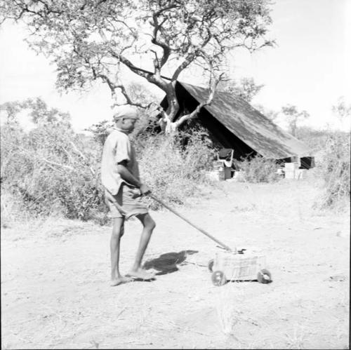 Tsamgao pulling a carton on wheels, with an expedition tent in the background