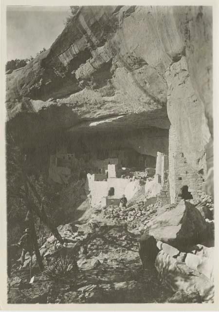 View of Cliff Palace from the south