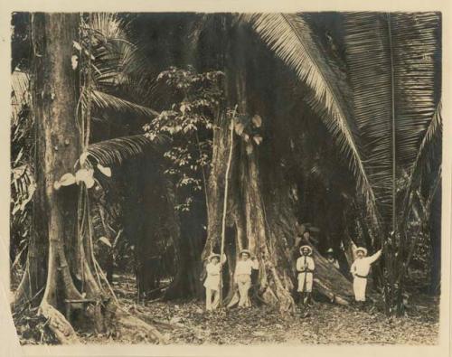 Five men standing next to a large tree