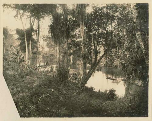 Man in canoe on river