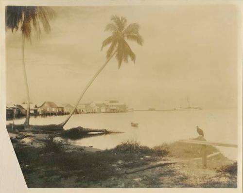 Buildings along shore and a steamship at the dock