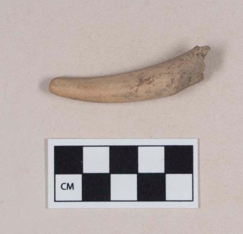 Worked antler fragment, pointed at one end