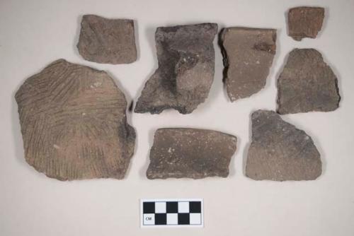 Coarse earthenware body, rim, and handle sherds, cord impressed and incised, with shell temper