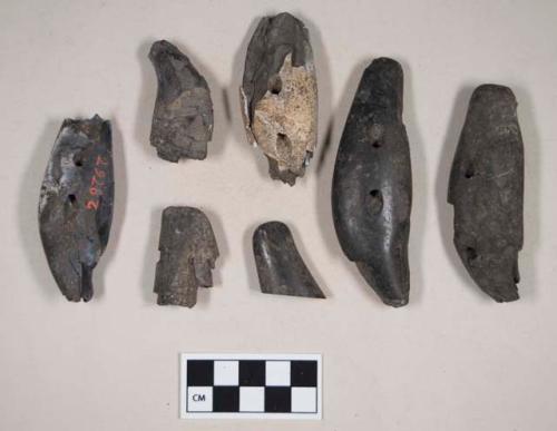 Perforated animal teeth fragments, burned