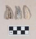 Animal teeth fragments, calcined