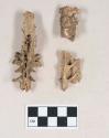 Animal bone fragments, vertebrae and sacral vertebrae