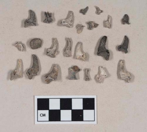 Animal claw fragments, some burned and calcined, some perforated, some with copper and iron staining