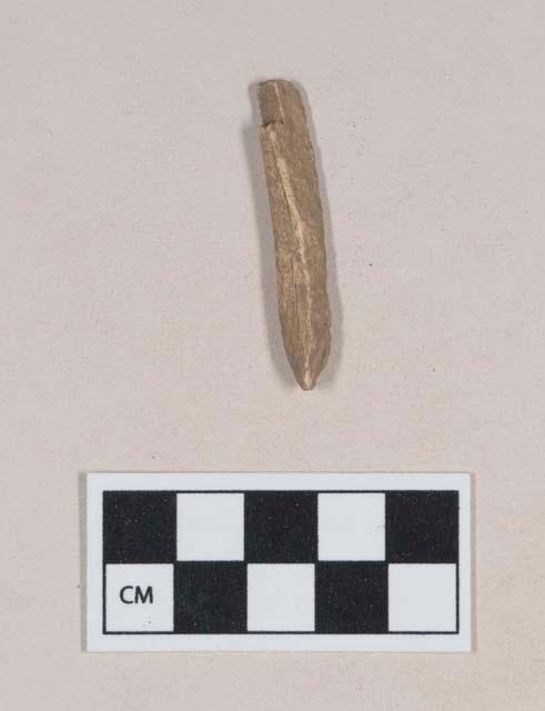 Organic, animal bone fragment