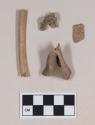 Animal bone fragments; animal tooth fragment