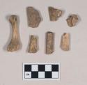 Animal bone fragments