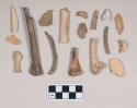 Animal bone fragments, including some possible fish bones, one fragment calcined
