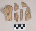 Animal bone fragments