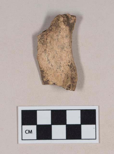 Organic, animal bone fragment