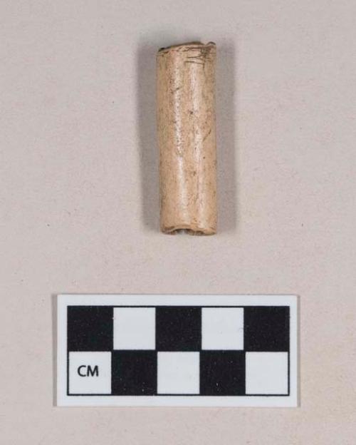 Cut and polished bone tube fragment