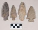 Chipped stone, projectile points, stemmed and corner-notched