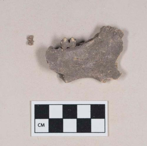 Animal bone, mandible fragment, one tooth intact; animal tooth fragment