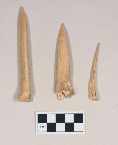 Worked animal bone awls