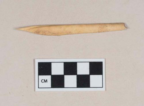 Worked animal bone awl fragment