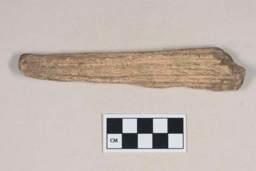 Worked antler fragment