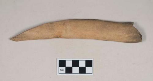 Worked animal bone awl fragment