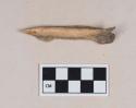 Worked animal bone awl