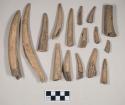 Worked antler fragments