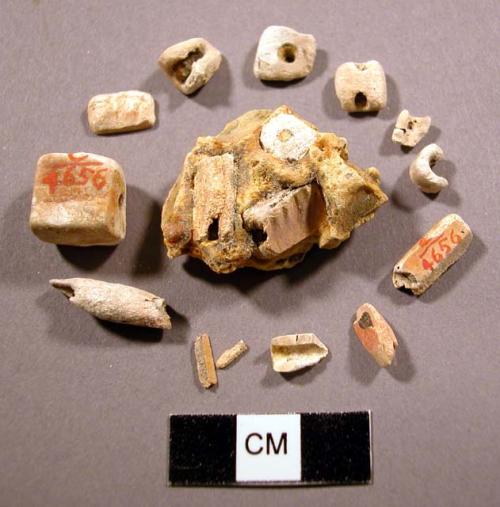 Organic shell beads, miscellaneous, some imbedded in copal