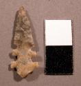 Small serrated stone projectile point