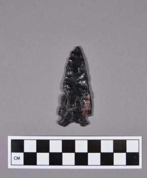 Obsidian projectile point, side-notched