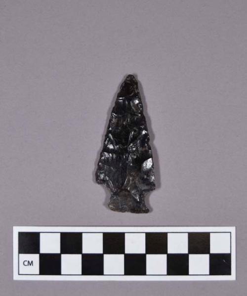 Obsidian projectile point, side-notched