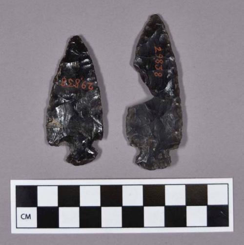 Obsidian projectile points, one corner-notched and one broken side-notched