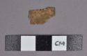 Organic, turtle shell bone fragment