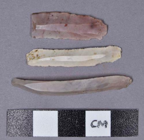 Chipped stone, prismatic blades, chert