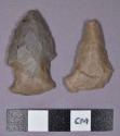 Chipped stone, projectile points, one asymmetrical and one stemmed