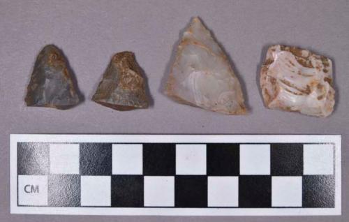 Chipped stone, projectile points, base and tip fragments