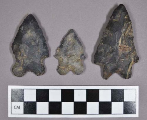 Chipped stone, projectile points, bifurcate base