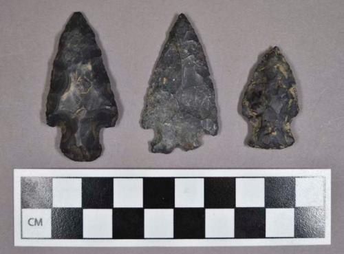 Chipped stone, projectile points, side-notched, bifurcate, and stemmed