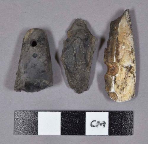 Organic, faunal remains, utilized bone fragments, two are perforated