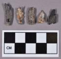 Organic, faunal remains, perforated canine teeth, ornaments, calcined; and seven shell fragments