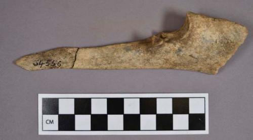 Organic, faunal remains, bone perforator, fragments crossmend