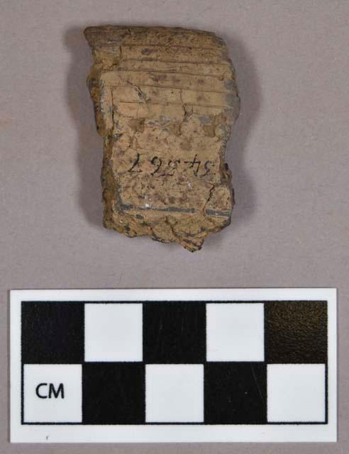 Ceramic, earthenware rim sherd, incised and punctate design