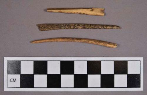 Organic, faunal remains, bone perforator fragments