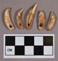 Organic, faunal remains, perforated canine teeth, small mammal, ornaments