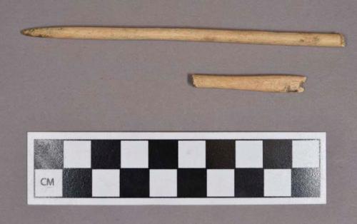 Organic, faunal remains, bone needle, fragments mend