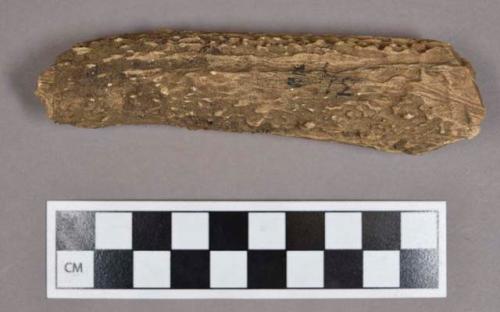 Organic, utilized antler fragment, cut marks